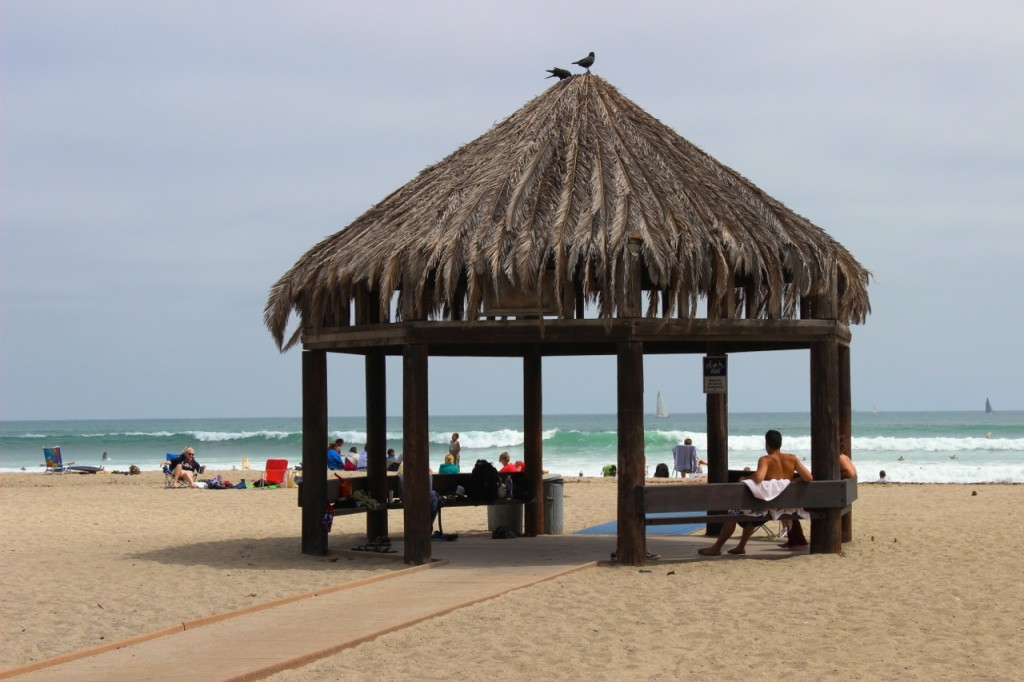 palapa